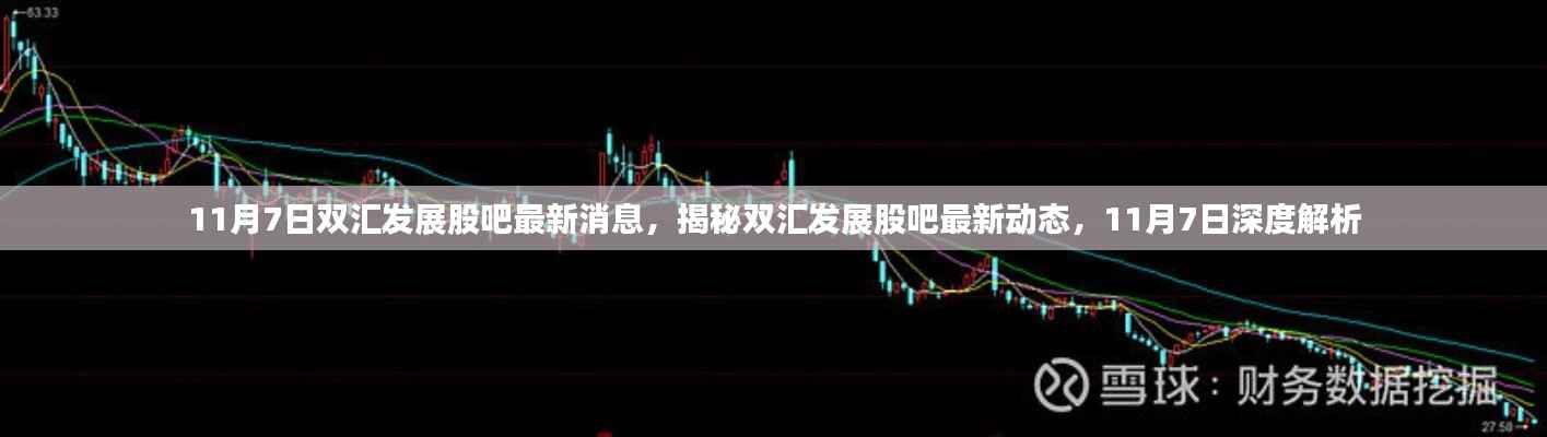 揭秘双汇发展股吧最新动态,深度解析双汇发展最新消息