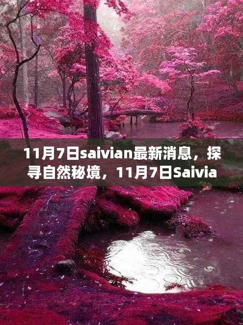 探寻自然秘境,最新Saivian旅行指南发布,启程探索未知世界(11月7日最新消息)