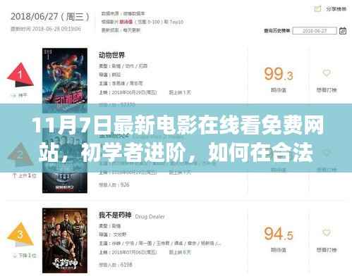 免费观看最新电影在线的合法渠道指南与注意事项,初学者进阶到11月7日最新电影在线看免费网站