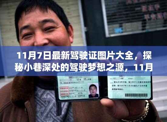 探秘驾驶梦想之源,最新驾驶证美图集(11月版)