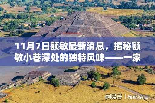 揭秘额敏隐藏版特色小店,小巷深处的独特风味神秘面纱(最新消息)