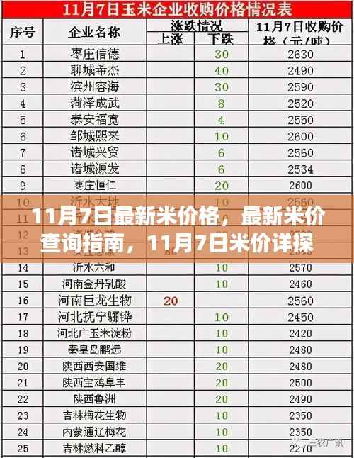 11月7日大米价格详探,最新米价查询指南