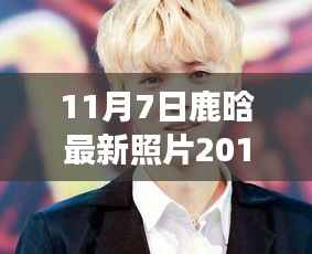 鹿晗最新照片解析,光影中的新星闪耀背后的故事,2017年11月7日独家报道