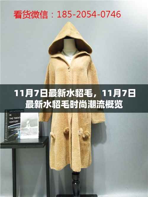 时尚前沿,揭秘水貂毛潮流概览,掌握最新时尚趋势