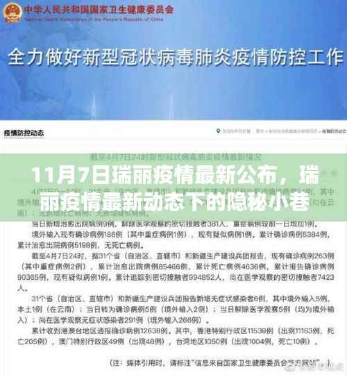 瑞丽疫情最新动态下的美食秘境探索，隐秘小巷美食之旅（疫情最新公布）