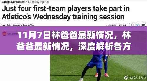 林爸爸最新情况深度解析,各方观点与个人立场探讨