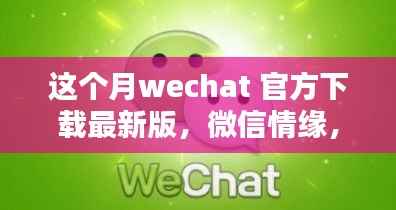 微信情缘,最新版下载与暖心日常体验