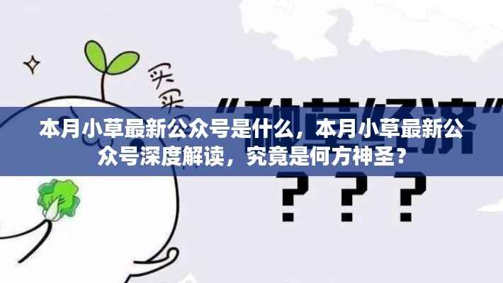 本月小草最新公众号揭秘,深度解读背后的神秘力量