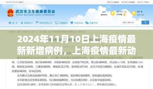 2024年11月10日上海疫情最新动态,新增病例及影响概述
