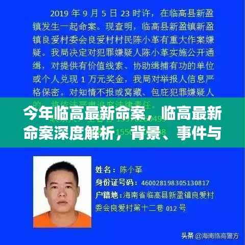 临高最新命案揭秘,背景、事件与深远影响