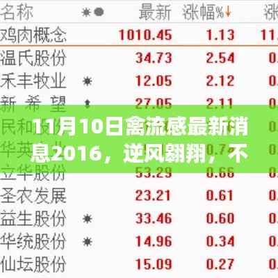不惧禽流感阴霾,最新消息与新希望之光照亮前行之路(2016年11月)