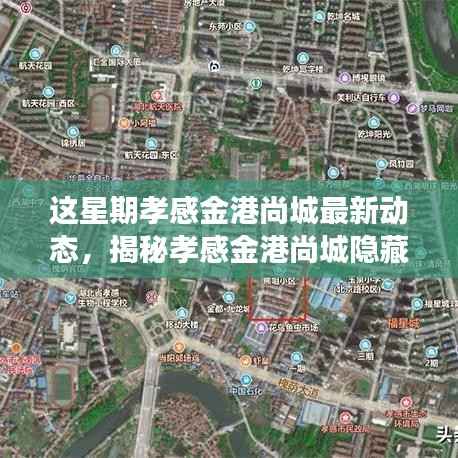 揭秘孝感金港尚城隐藏美食秘境,本周最新动态探秘小巷独特风味美食之旅!