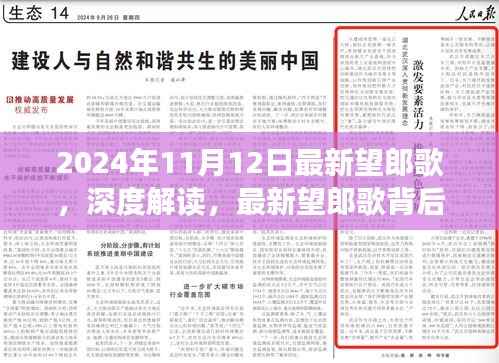 深度解读,最新望郎歌背后的文化意义与争议焦点(2024年11月12日最新)
