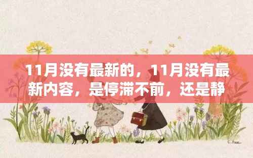 11月静默无声,内容停滞还是静待花开?