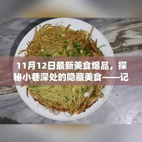 探秘美食秘境,小巷深处的独特风味小店的美食之旅(11月12日最新美食爆品)