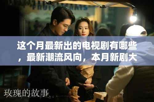 本月新剧速递,热门电视剧大盘点与潮流风向解析