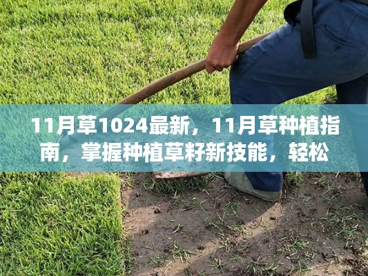 11月草种植指南,掌握新技能,轻松开启园艺之旅