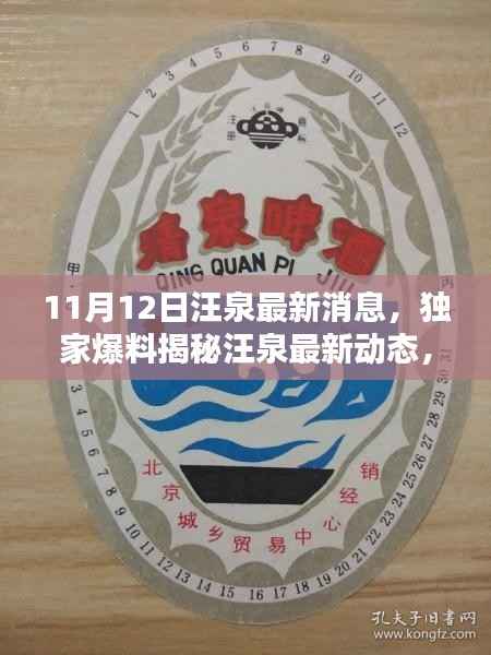 独家揭秘,汪泉最新动态及不为人知的秘密(11月12日更新)