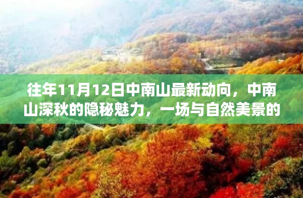 中南山深秋的隐秘魅力,与自然美景的邂逅之旅(最新动向在11月12日)