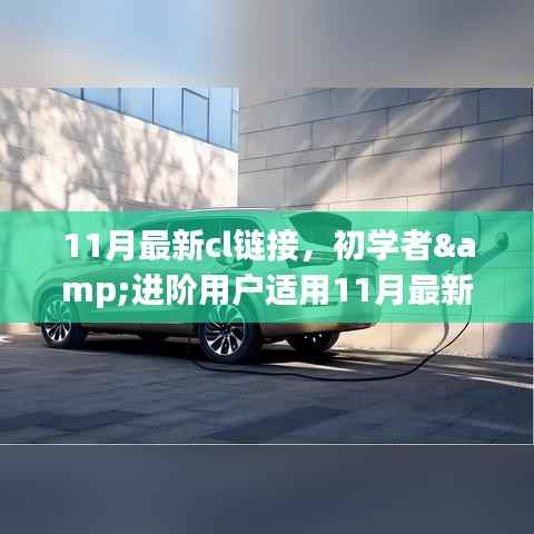 11月最新CL链接任务详解,从初学者到进阶用户的完成步骤
