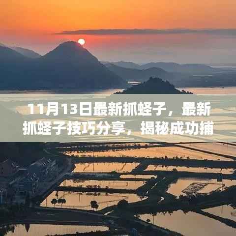 揭秘最新抓蛏子技巧,成功捕捞三大要点分享(日期更新至11月13日)