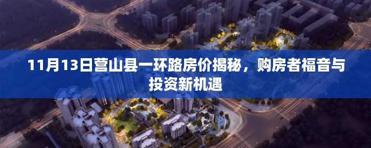 11月13日营山县一环路房价揭秘,购房者福音与投资新机遇