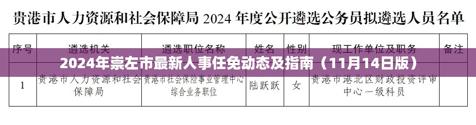 2024年崇左市最新人事任免动态及指南（11月14日版）