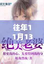 绝世佳人总裁妻苏金,十一月十三日的秘密篇章