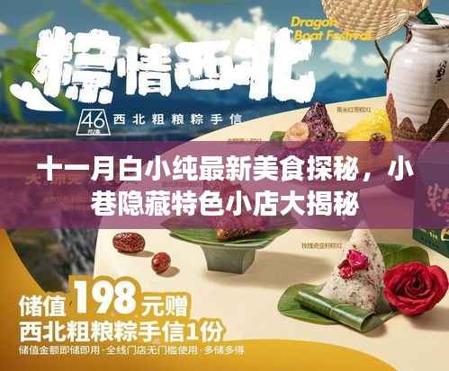 十一月白小纯最新美食探秘,小巷隐藏特色小店大揭秘