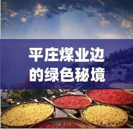 平庄煤业边的绿色秘境,秋日心灵之旅的最新消息