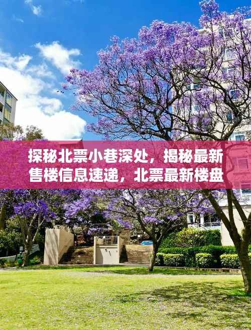 探秘北票小巷深处,揭秘最新售楼信息速递,北票最新楼盘动态解析(北票最新售楼信息速递)