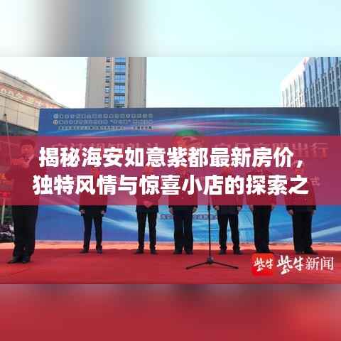 揭秘海安如意紫都最新房价,独特风情与惊喜小店的探索之旅