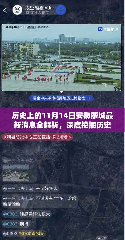 历史上的11月14日安徽蒙城最新消息全解析,深度挖掘历史信息之道