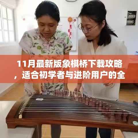 11月最新版象棋桥下载攻略,适合初学者与进阶用户的全安装指南