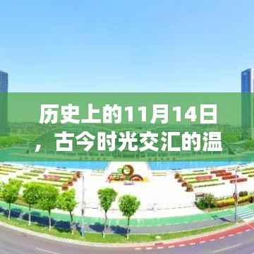 历史上的11月14日，古今时光交汇的温馨日常
