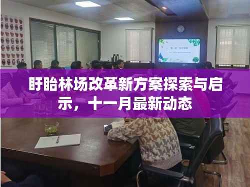 盱眙林场改革新方案探索与启示,十一月最新动态