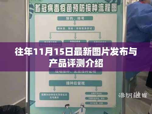 往年11月15日最新图片发布与产品评测介绍