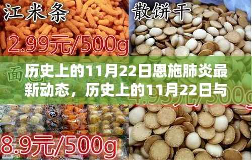 历史上的11月22日恩施肺炎动态,最新进展、全面评测及用户群体分析