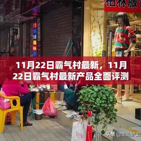 11月22日霸气村最新产品全面评测,特性、体验、对比及用户群体深度剖析