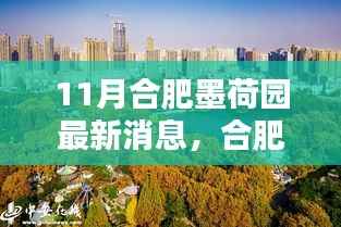 合肥墨荷园十一月最新动态及深远影响解析