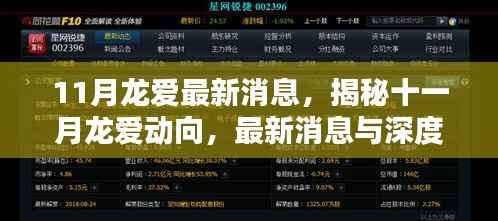 揭秘十一月龙爱最新动向与深度解析,最新消息一览