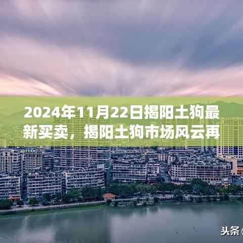 揭阳土狗市场风云再起,最新买卖动态,开启新篇章 2024年11月22日