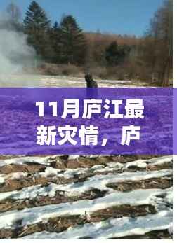 庐江十一月灾情严峻,众志成城共抗风雨无情