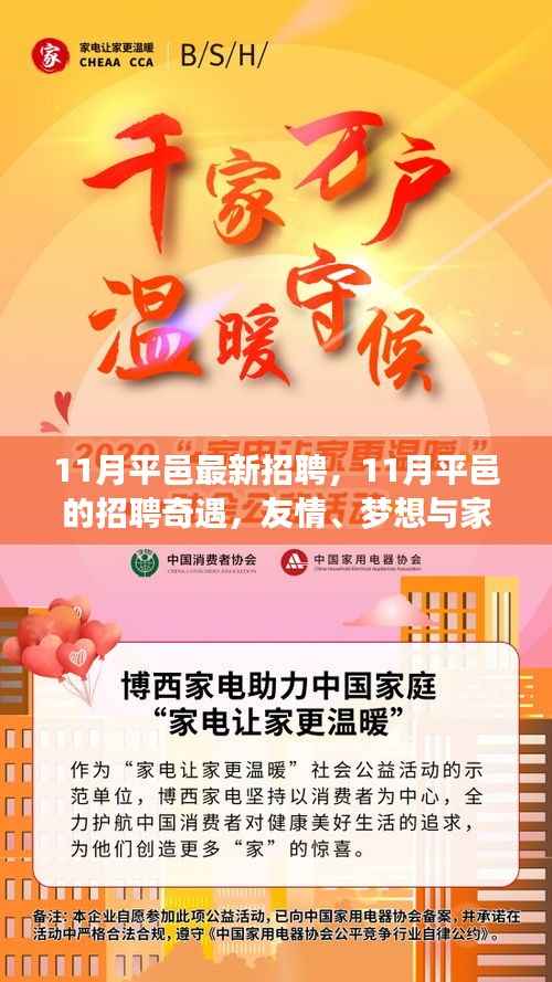 11月平邑招聘奇遇,友情、梦想与家的温暖共筑未来