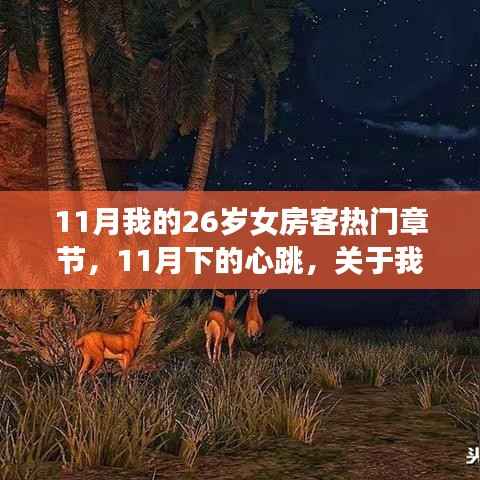 11月下的心跳,26岁女房客热门章节多维解读