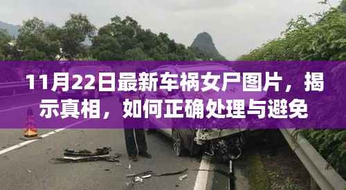 揭秘车祸女尸真相,如何正确处理与避免误解风险?