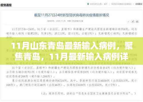 青岛聚焦,11月最新输入病例详解