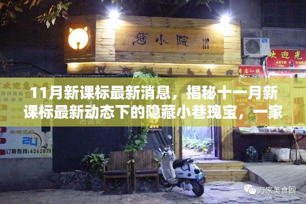 揭秘十一月新课标动态下的隐藏瑰宝,一家特色小店的独特魅力