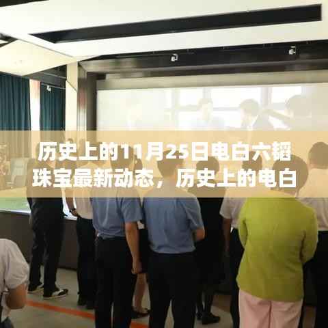 揭秘电白六韬珠宝璀璨变迁,历史上的最新动态回顾