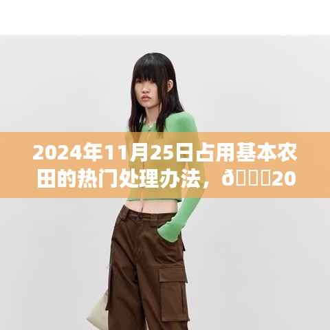 2024年占用基本农田处理新趋势与热门办法解析